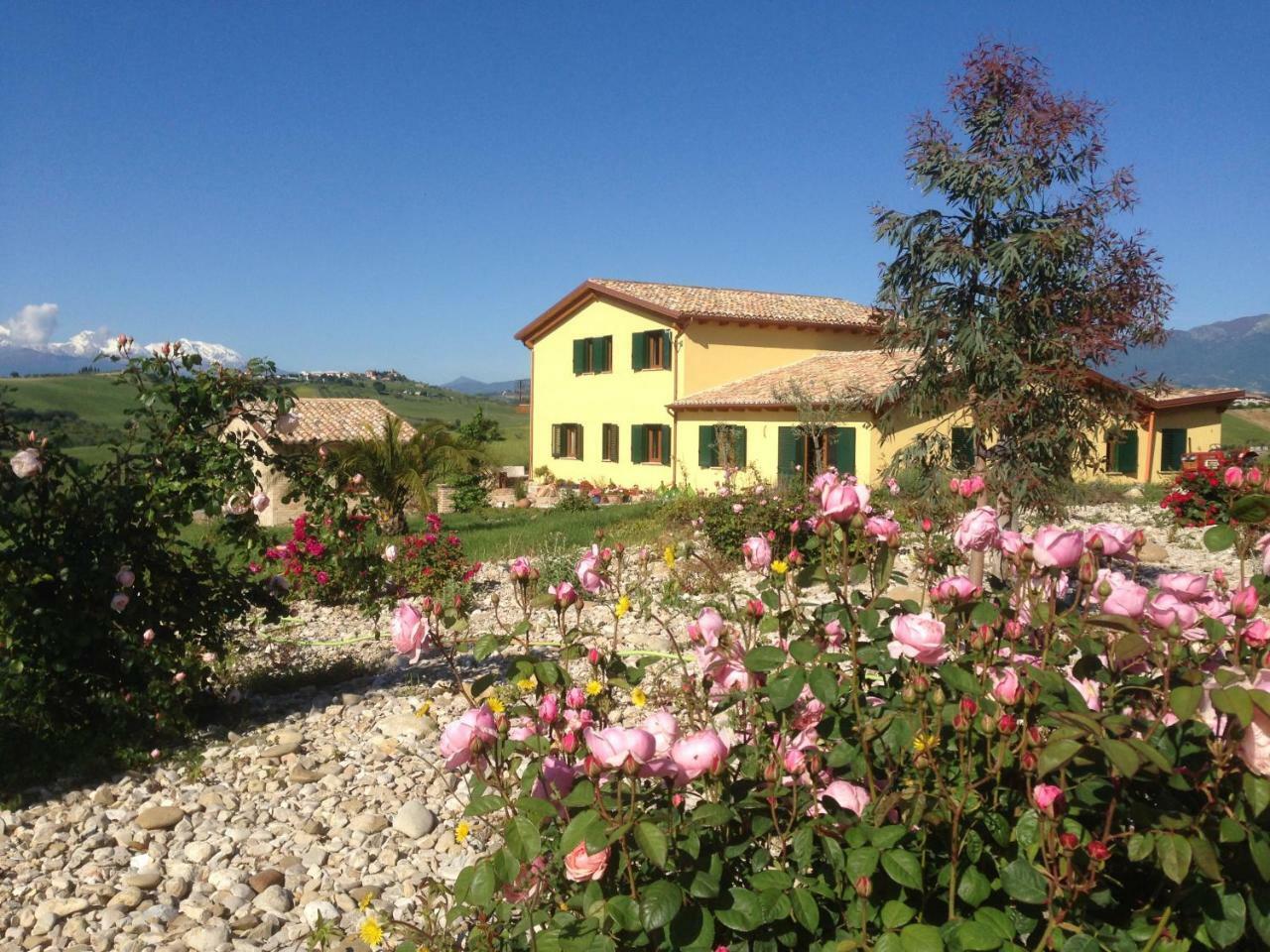 Il Frutteto Bed And Breakfast Ripattone Luaran gambar