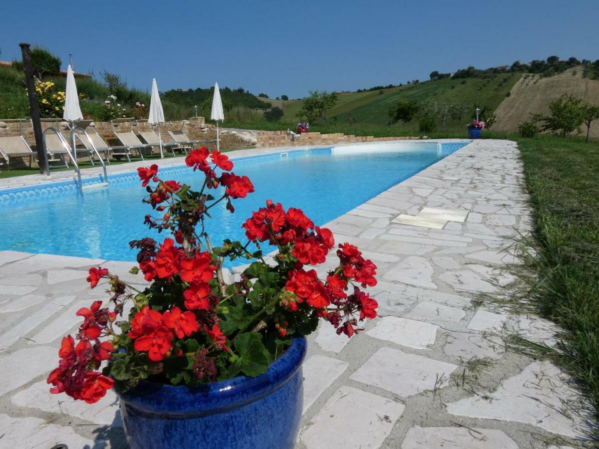 Il Frutteto Bed And Breakfast Ripattone Luaran gambar